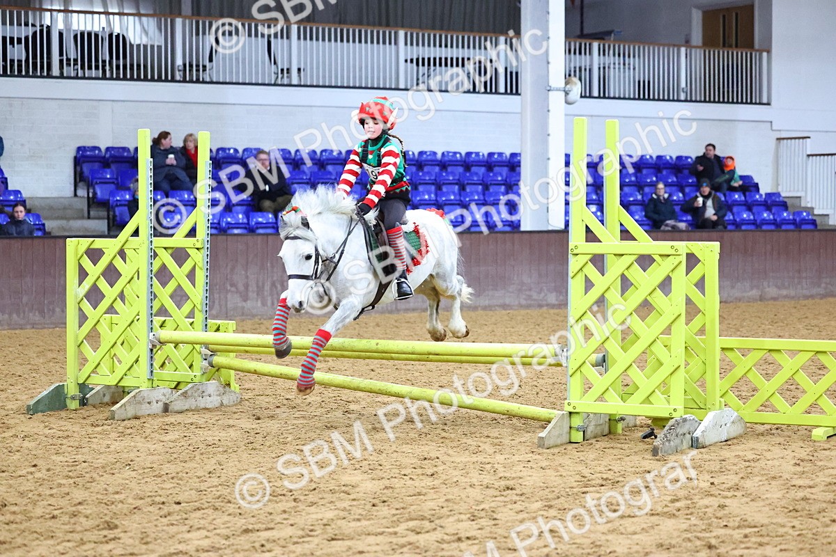 SBM_001345 - Class 3 - Christmas Tree Stakes - 60cm