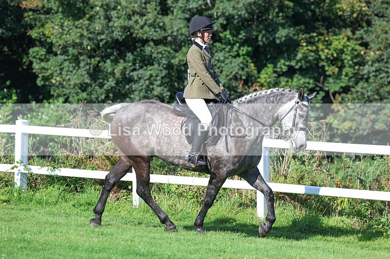 3E7A7821 - Class 2: Open Working Hunter pony
