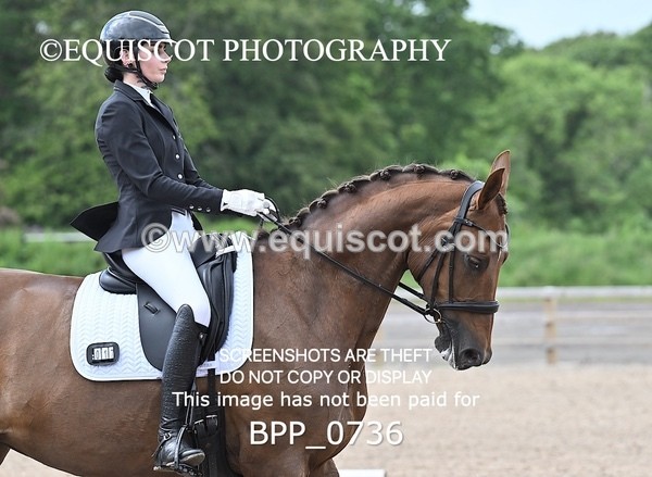 BPP_0736 - 17 N BAXTER