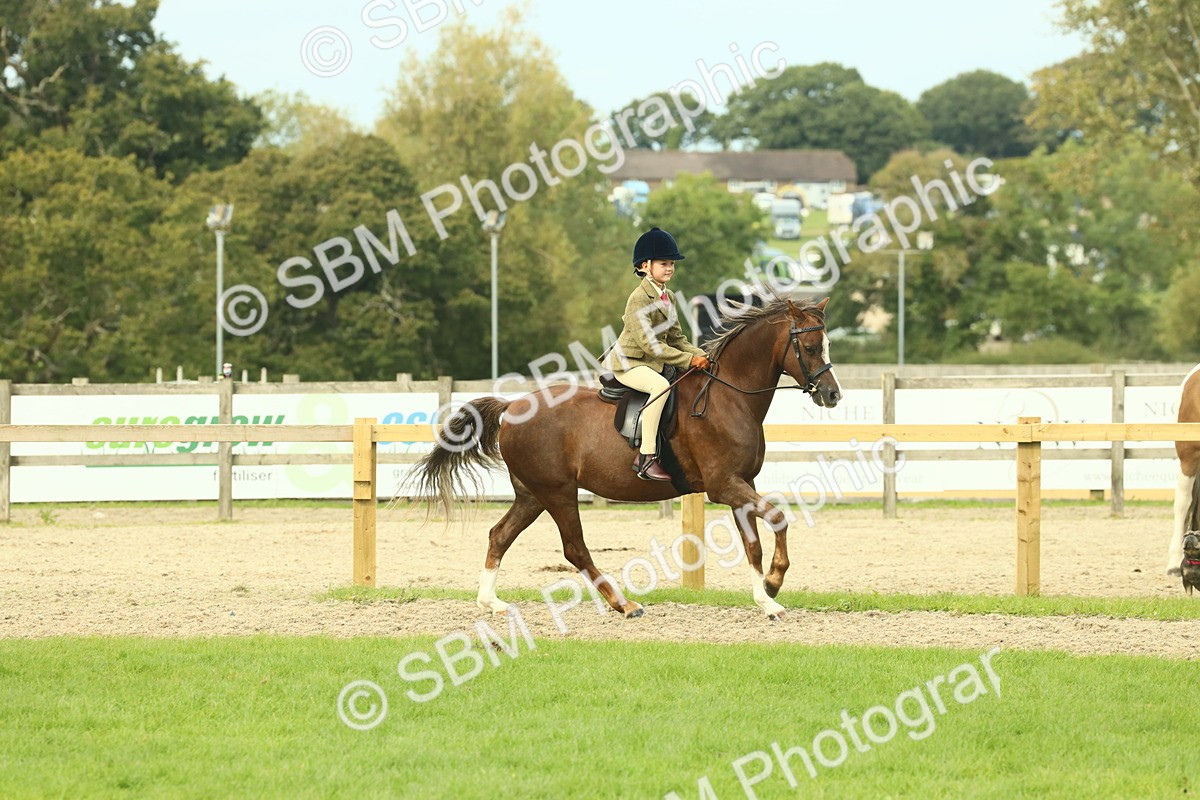 SBM_69887 - S59 - Mountain & Moorland Ridden Small Breeds