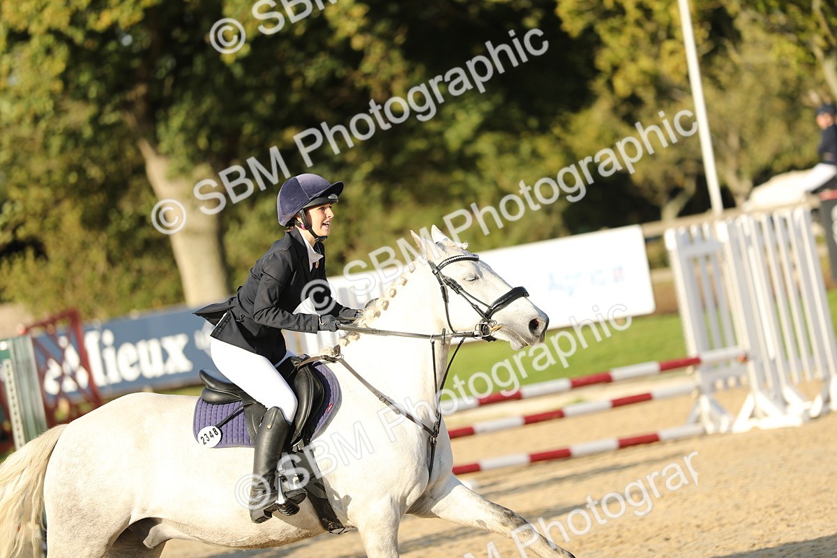 SBM_54180 - J23 - Junior Horse 70cm Championship