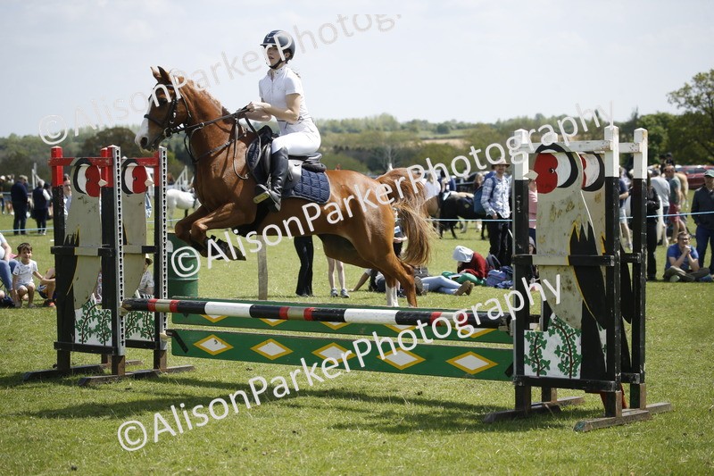 20250427-3704 - Class 14 - Absolute Novice 70cm