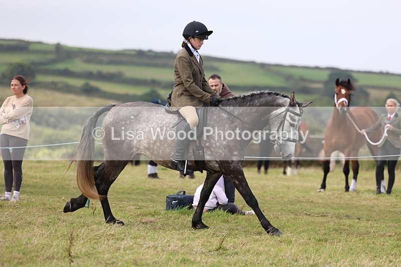 3E7A3973 - Class 4: Best Combination Open