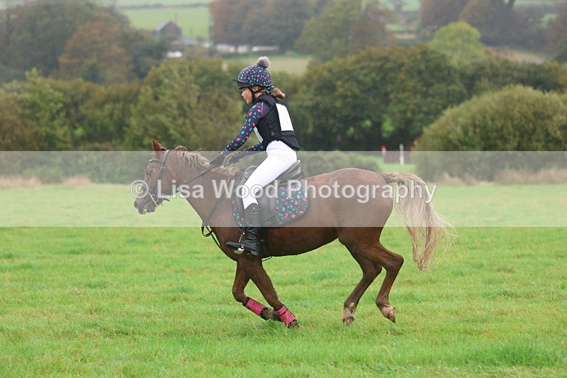 3E7A1046 - Class 1: 65cm: Rails