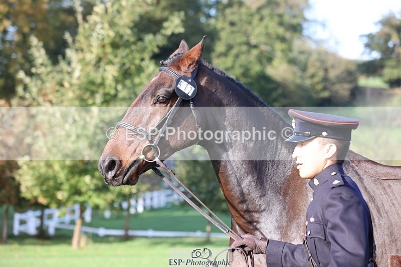 241027-102131-15836 - 517-Lieutenant.Brian.Leung-RL.SHIVA