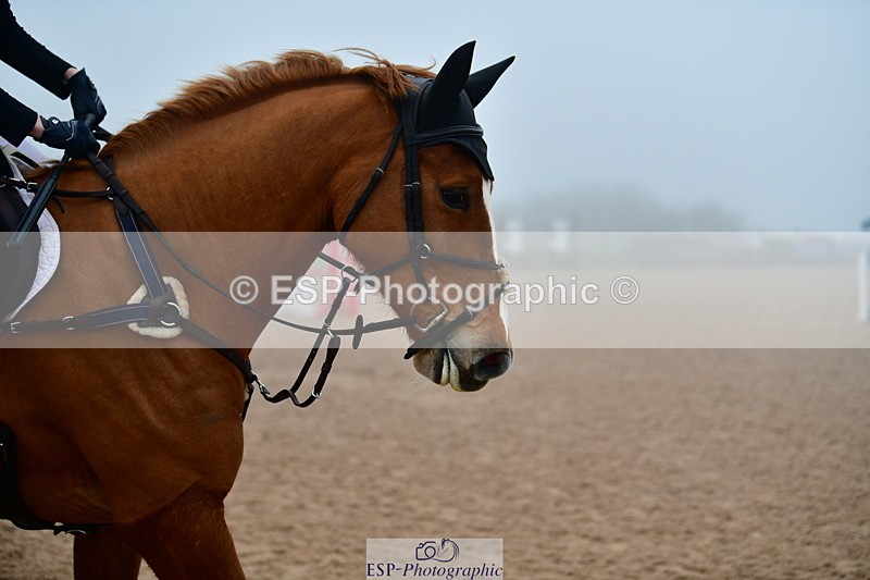 240214A-130410-00603 - Cls 4 Newcomers and 1.10m Open