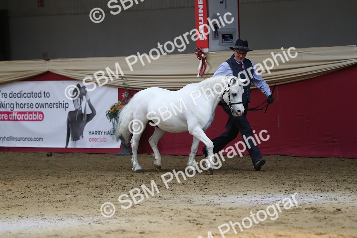 SBM_04935 - Class 8R- Regional -IH Veteran