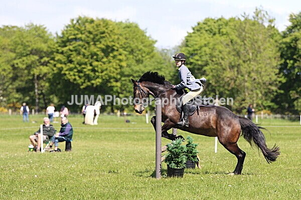 IMG_4016 - Working Hunter