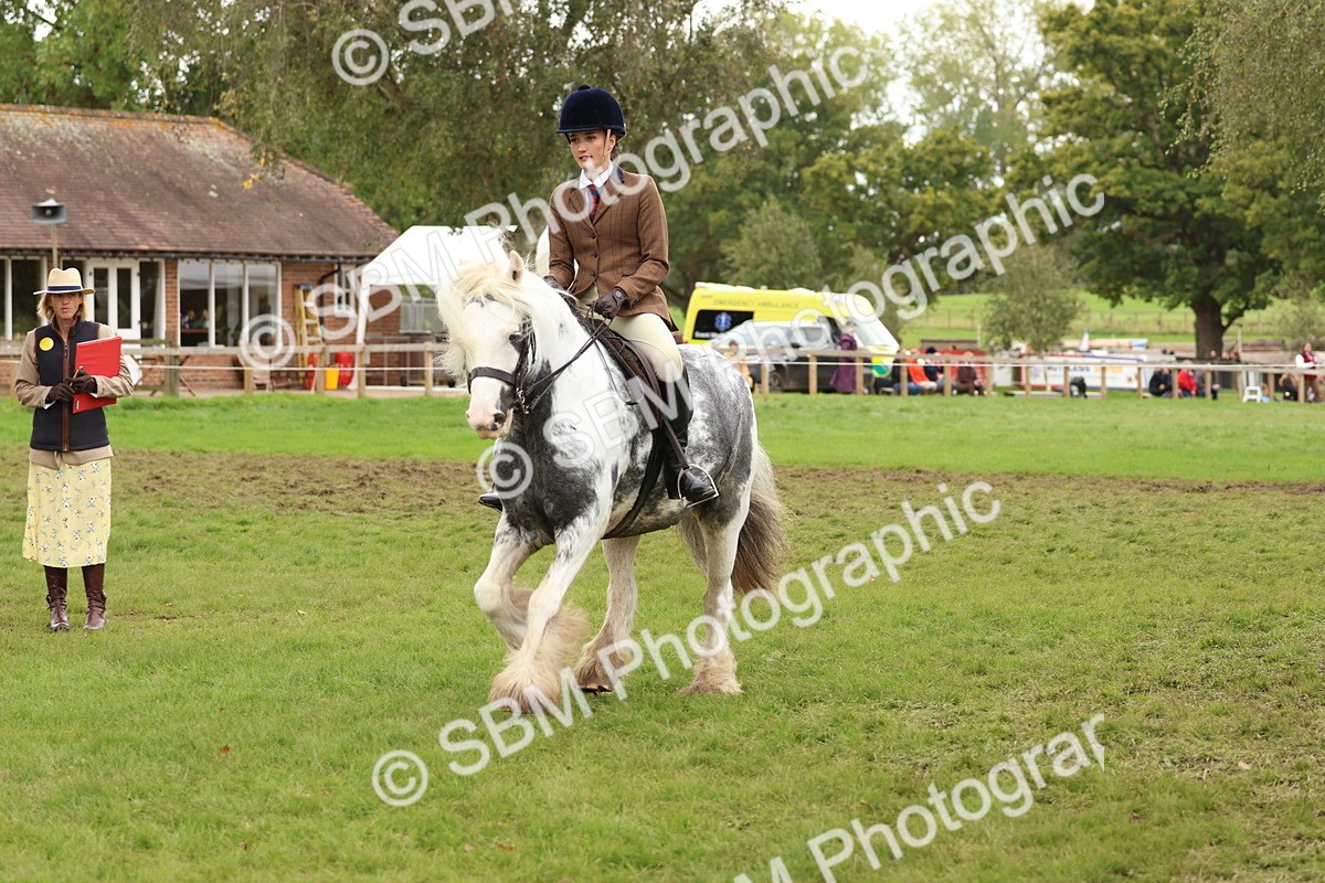 SBM_64482 - S58 - Coloured Pony Ridden