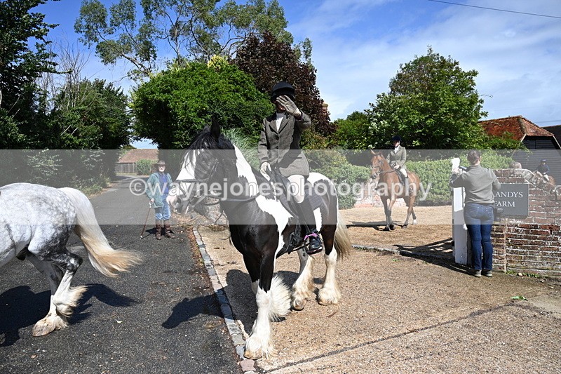 WJ7_7235 - Berks & Bucks at Blandy’s Farm 31-08-25