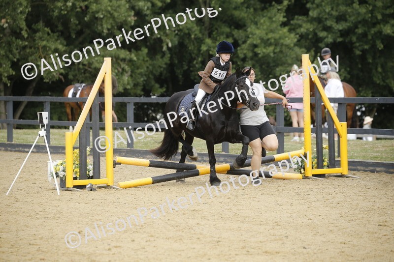 20250622-1335 - 40cm