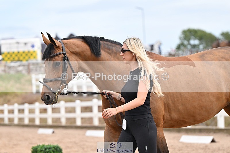 250716-151501-01818 - Trot Up 2.30 to 3.30