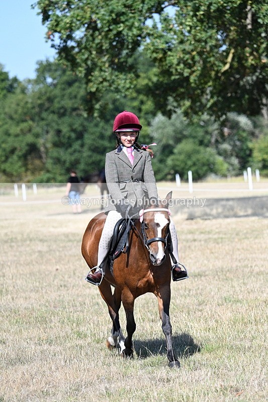 WJ7_4052 - Class 9 Mountain & Moorland Ridden