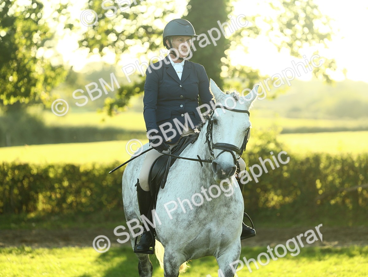 SBM_55604 - S14 - Riding Club Horse