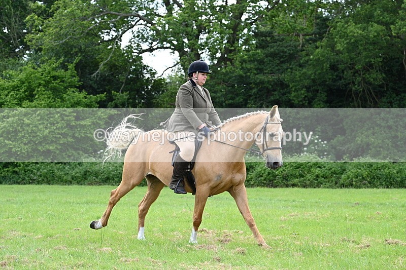 WJ7_2509 - Class 12A Coloured Class