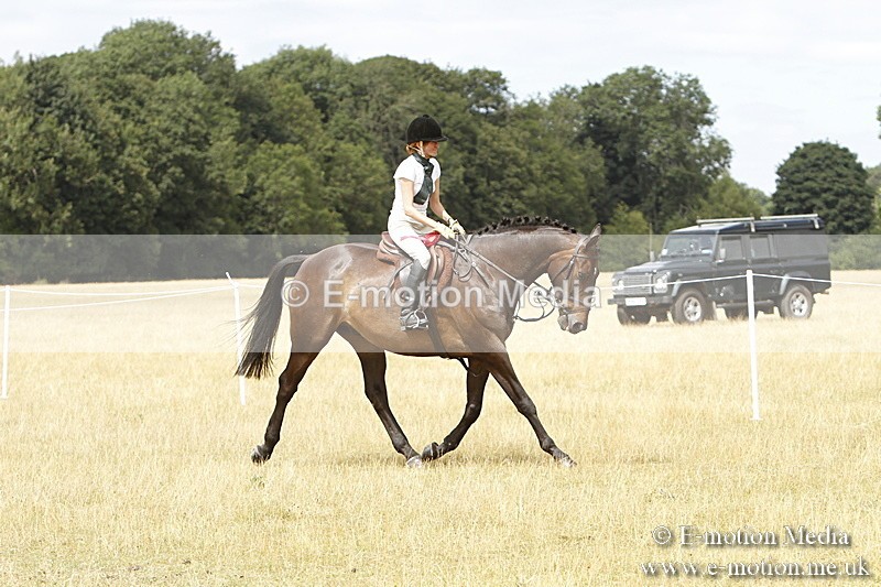 _BS_1003 - Working Hunter Championship BVRC Show 2018