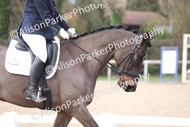 20260301-0865 - Class 5 - Elementary 4