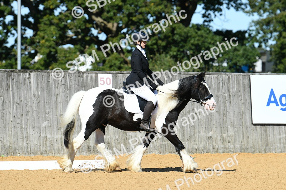 SBM_18211 - D4 - Small Tour Championship - Intro B