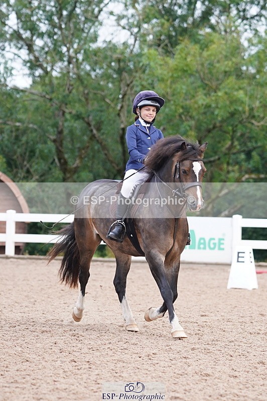 240809A-095806-00378 - Dressage Competition