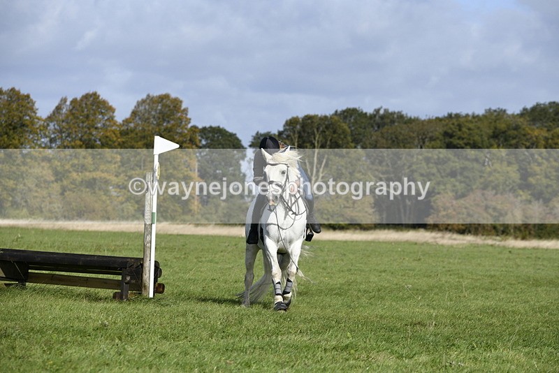 _DSC6490 - Time 11:23 to 12:05