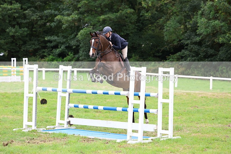 3E7A8331 - Class 8: Senior Foxhunter/1.20m open