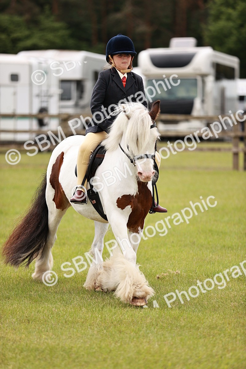 SBM_06137 - Class 39-41 TGCA In Hand and Ridden