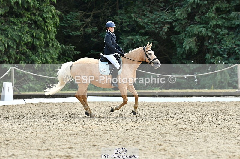 260801A-123647-04012 - Prelim Bronze Break - End