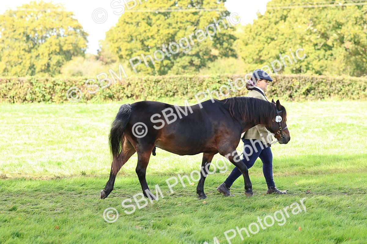 SBM_39390 - S24 - Young Veteran In Hand