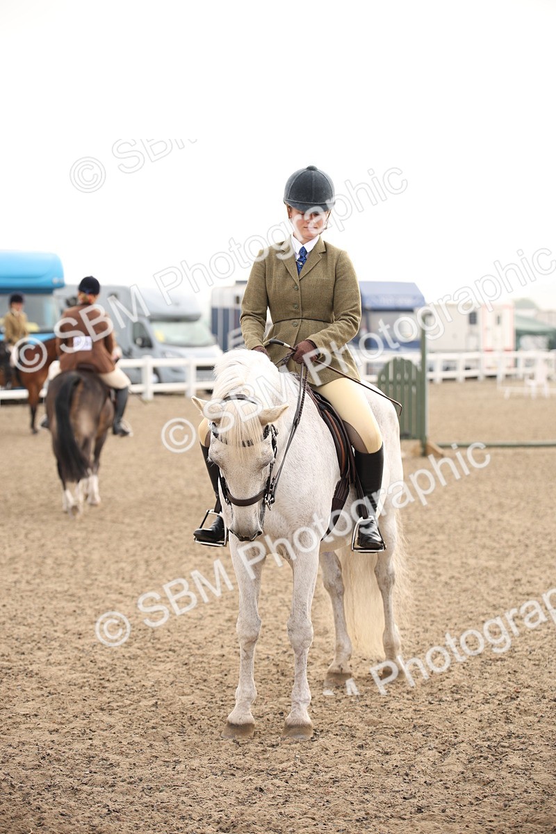 SBM_09804 - Class 401 Riding Club Pony