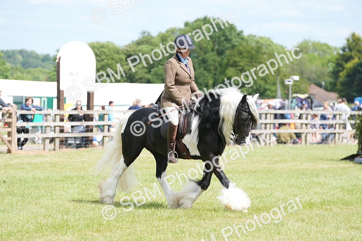 SBM_17272 - Class 107-108 - LIHS BSPS Performance Coloured Horse Pony