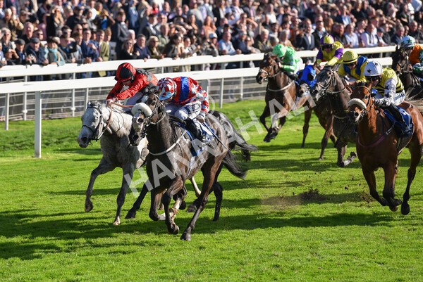 yr08102022r4-37 - Race 4 3.15pm The Coral Sprint Trophy