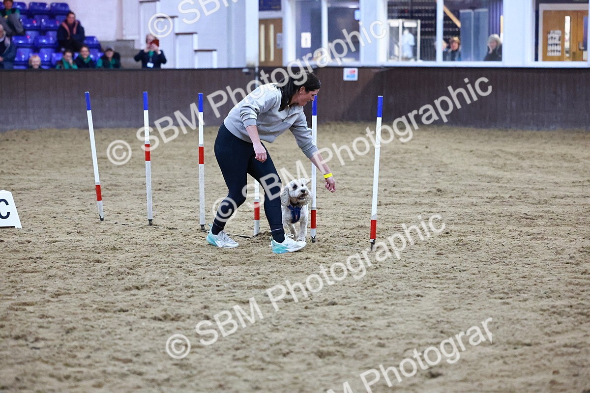 SBM_005921 - Evening Performance