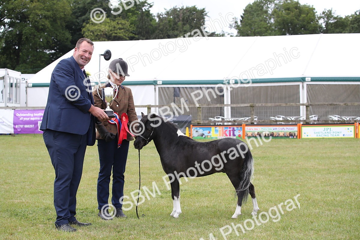 SBM_03566 - Class 23-25 - British Miniature Horse of the Year