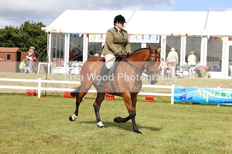 3E7A9422 - Class 4: Rising Star M/H Hunter