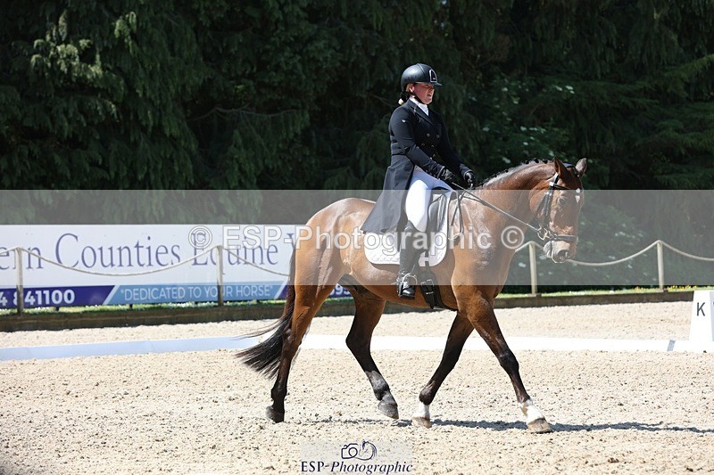 230526-114151-06096 - 154-GELUK_G-Molly_Adams-WEDTrotUp+DR