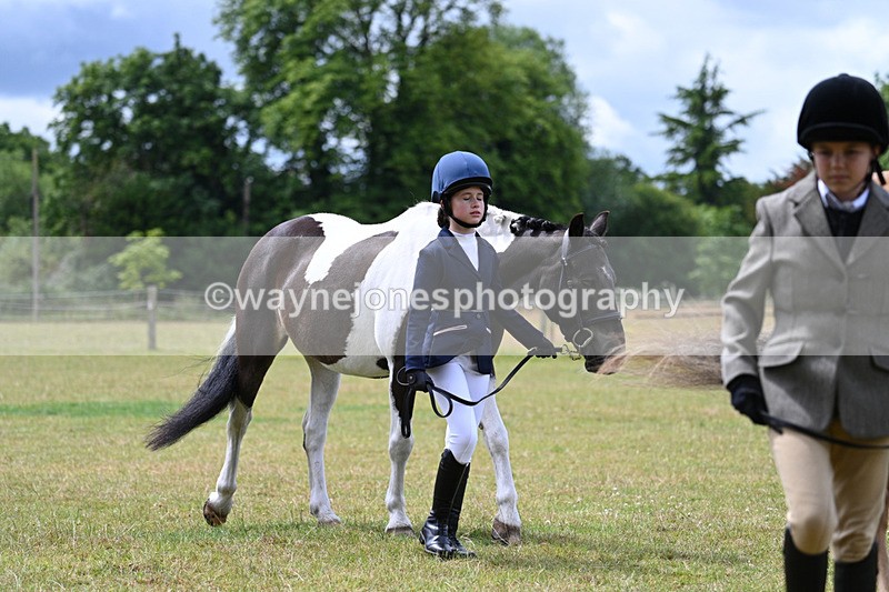 WJ7_6565 - Class 5 Handsome Gelding in hand