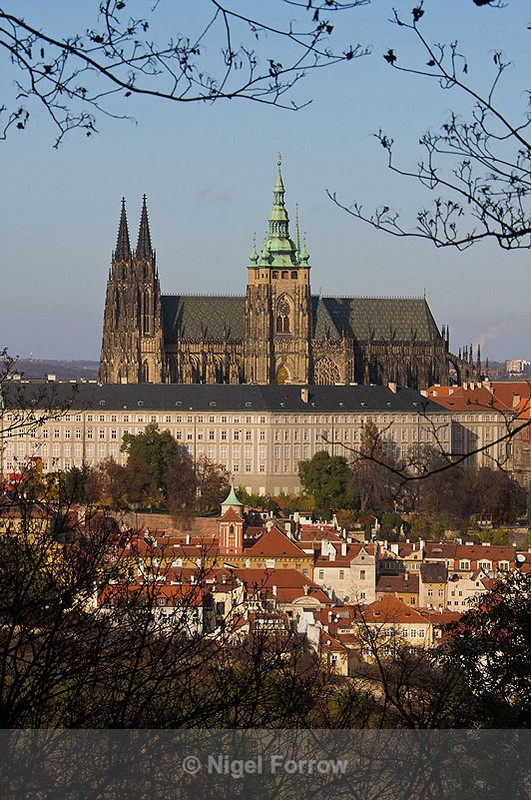 St. Vitus's Cathedral, Prague - Prague, Czech Republic