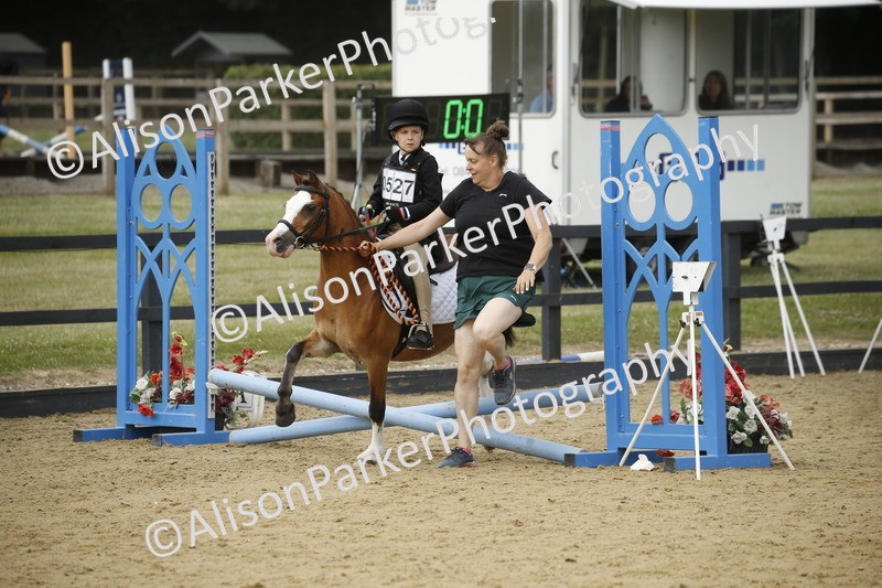 20250622-1494 - 40cm