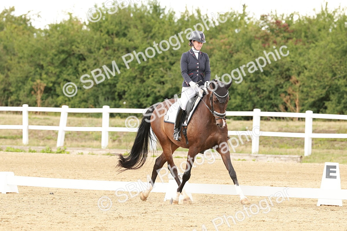 SBM_001916 - Class 8 - Elementary 6