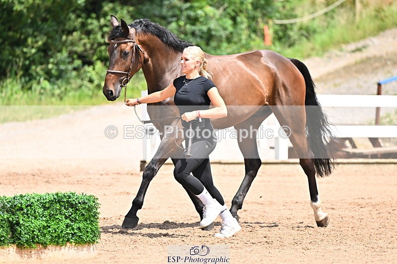 240718A-105302-01483 - Trot Up 12pm to 1pm