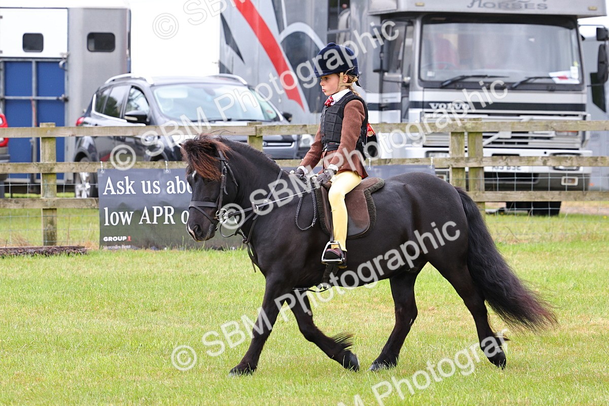 SBM_08671 - Class 42-43 - LIHS BSPS Heritage Working Sports Pony