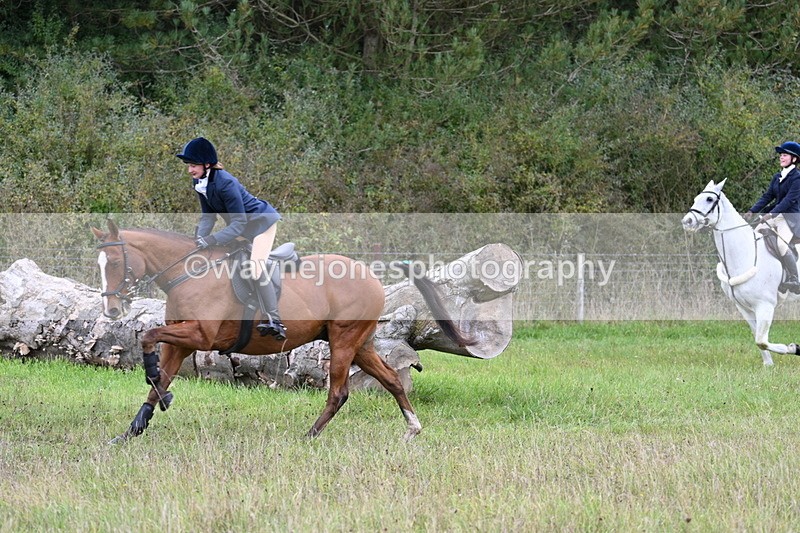 WJ7_3636 - Camera 1 Line 1