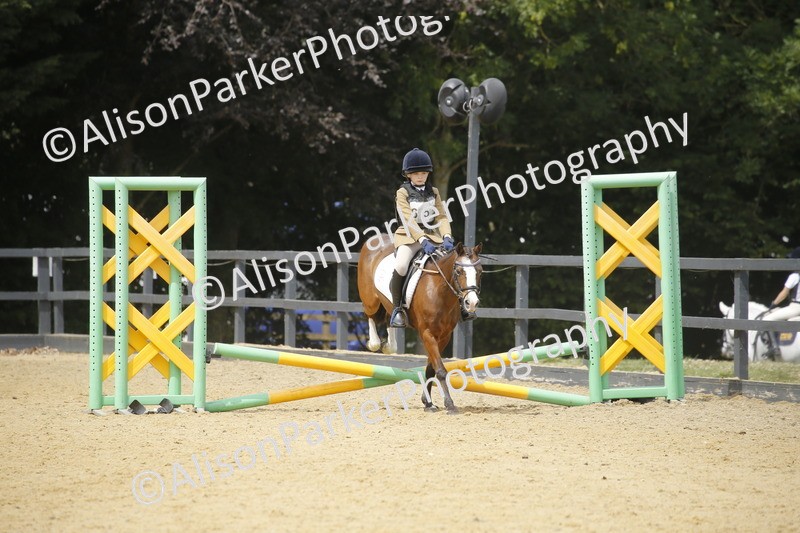 20250622-4758 - 50cm