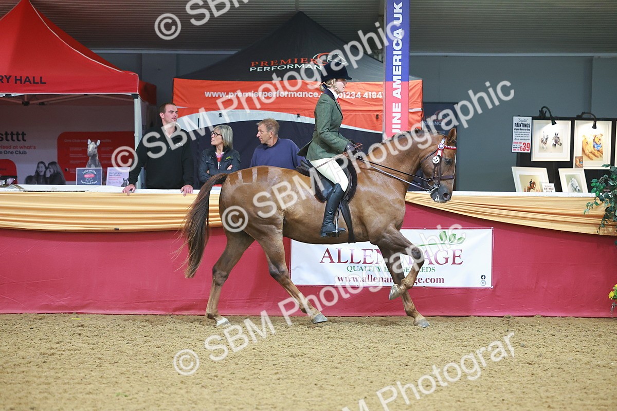 SBM_09643 - Class 102 - HOYS Veteran Qualifier - Ridden Veteran