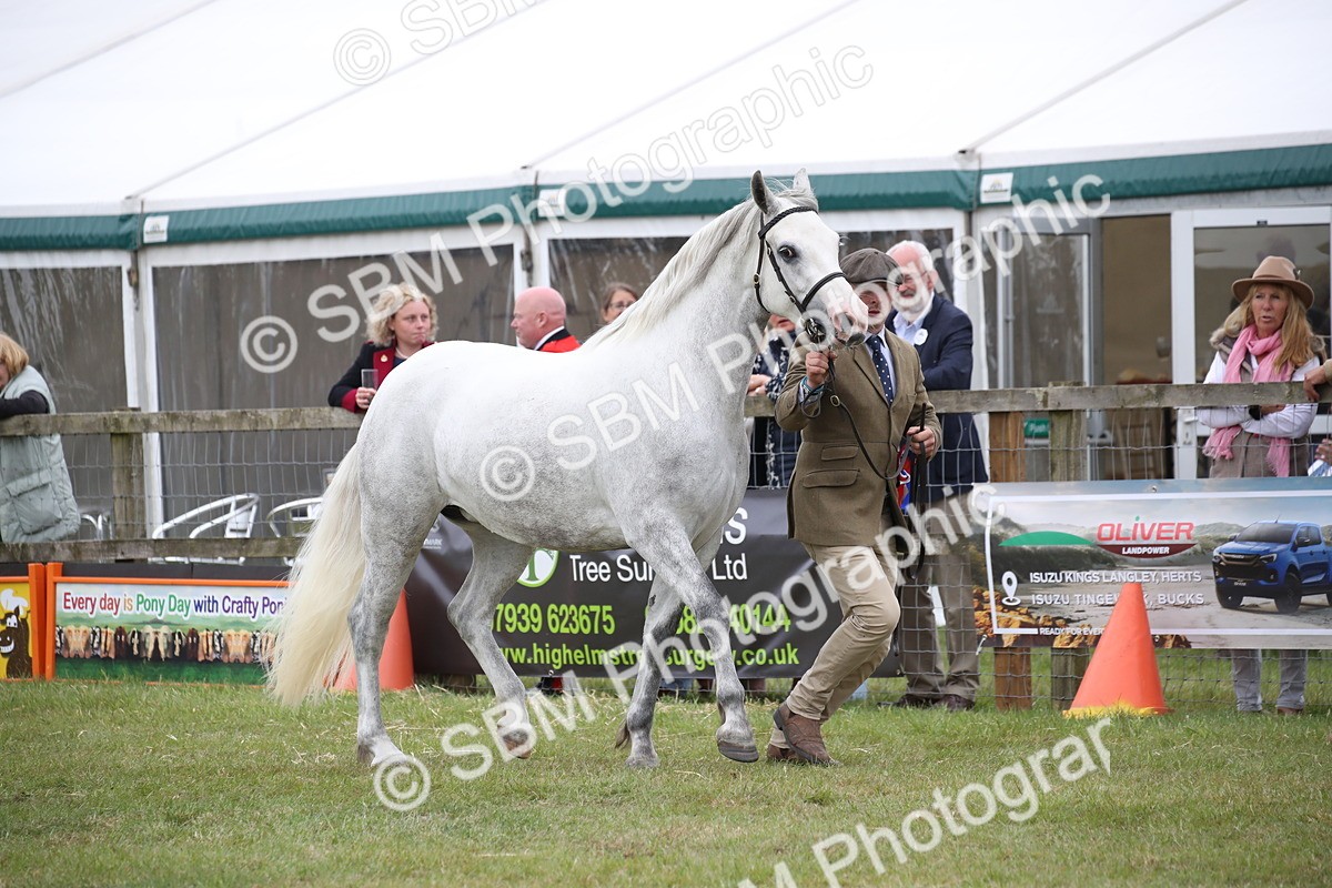 SBM_09785 - Ch 50 - Price Family Supreme In Hand