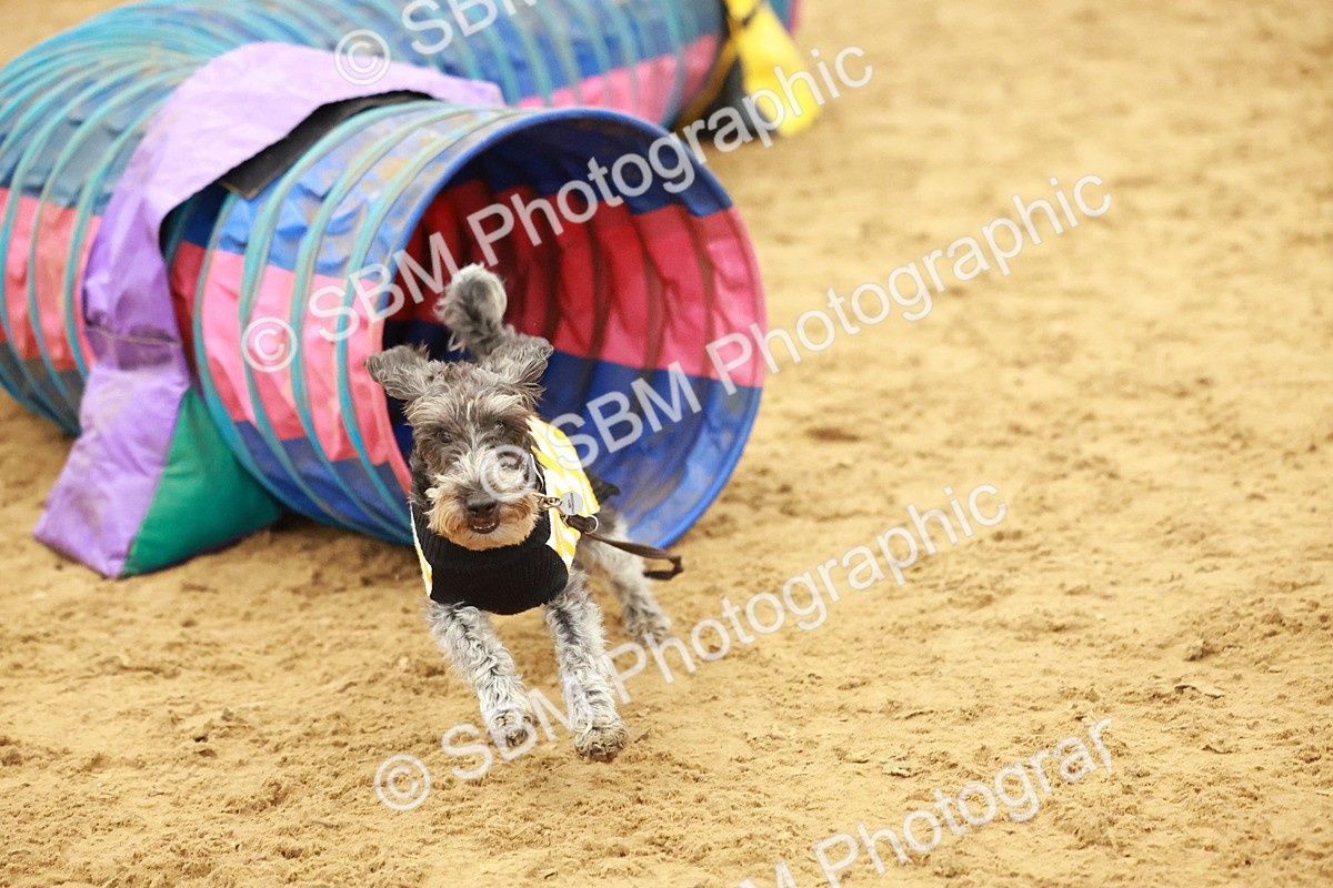 SBM_001625 - Class 3 - Horse & Hound (60cm)