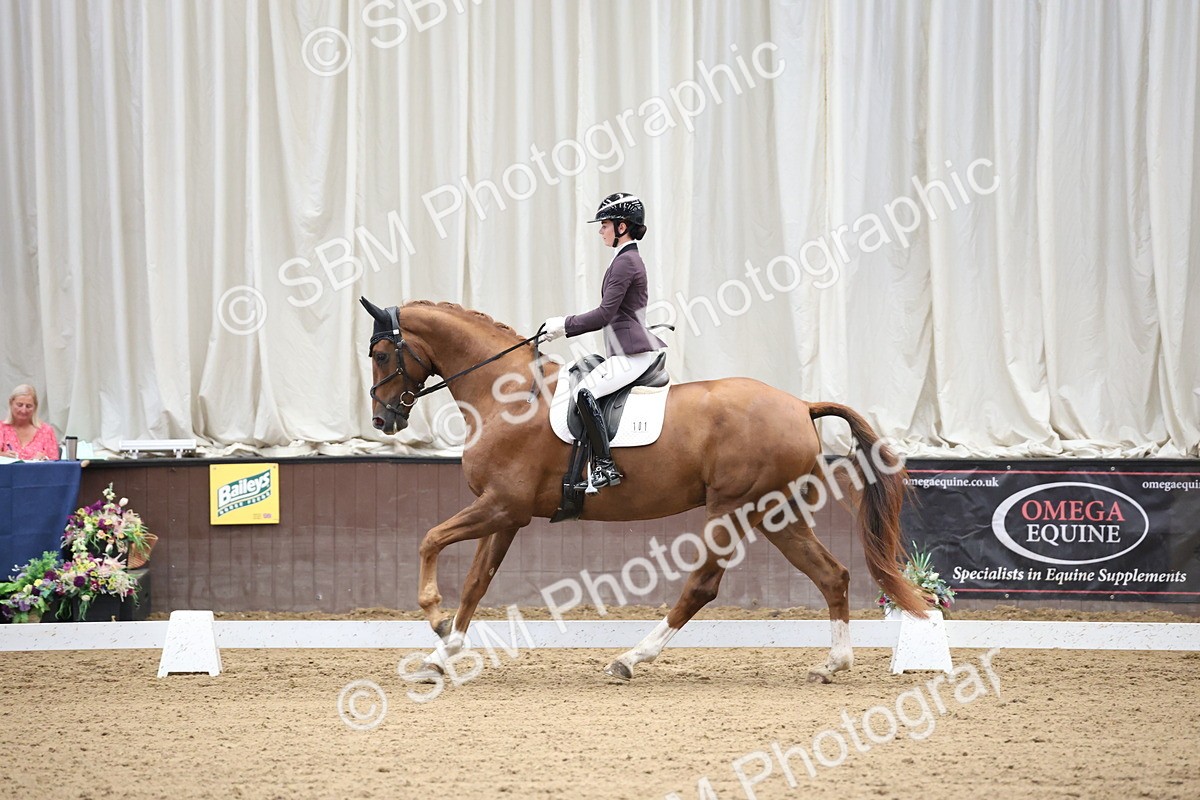 SBM_002817 - Class 5 - Novice 6 Gold - 10.24-11.30