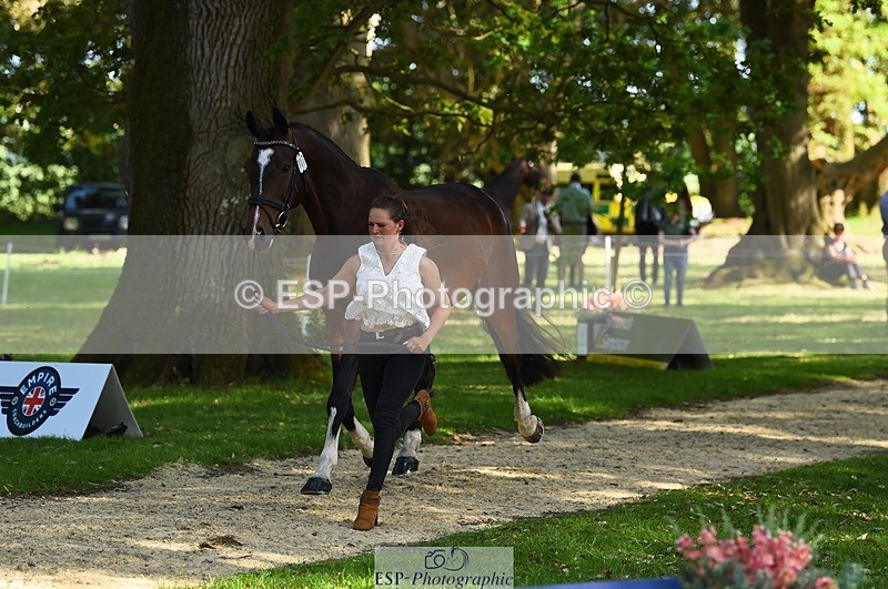 230524-165010-01119 - 117-J-Holly_Horton-WEDTrotUp+DR