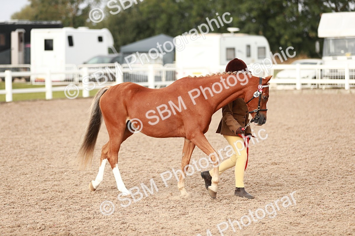 SBM_09839 - Class 203 Young Handler, 10 years and under