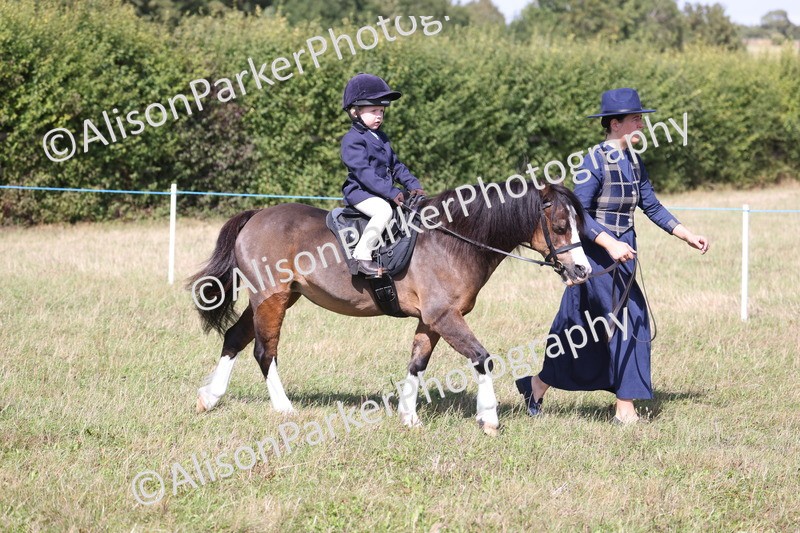 20260906-2725 - Class 25 - Absolute Beginners Pony